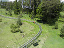 B 134 Alpine Coaster with NO BRAKES!