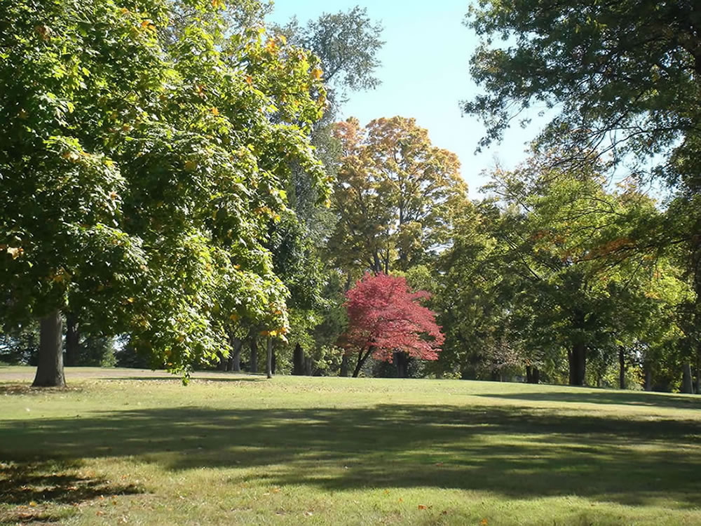 32 The Hermitage foliage