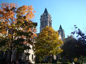 53. Cathedral Basilica of St. Louis